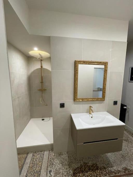 Appartement Chic Et De Caractere ! Saint-Cyr-au-Mont-d'Or Esterno foto